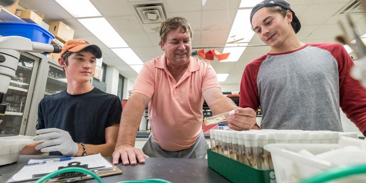 Entomologist Larry Gut honored with MSU’s Beal Outstanding Faculty Award