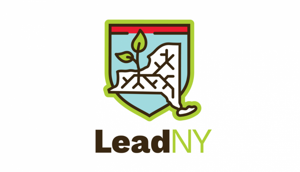 Deadline to apply to LeadNY is June 1