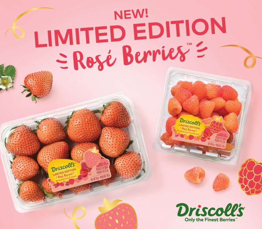 Rose Berries
