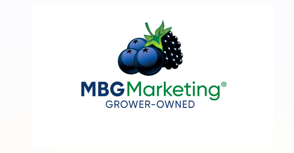 Brad Moorer, MBG Marketing CEO, dies
