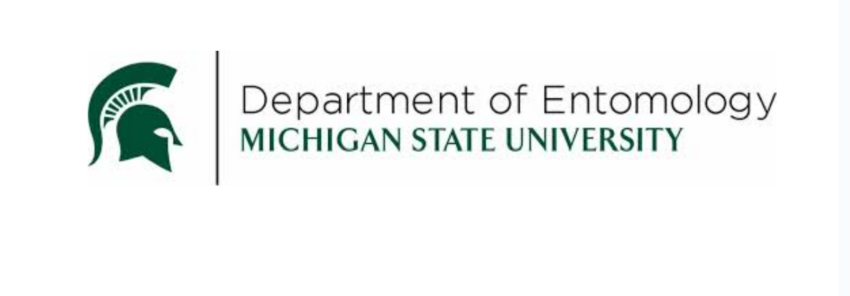 MSU plans insect forum