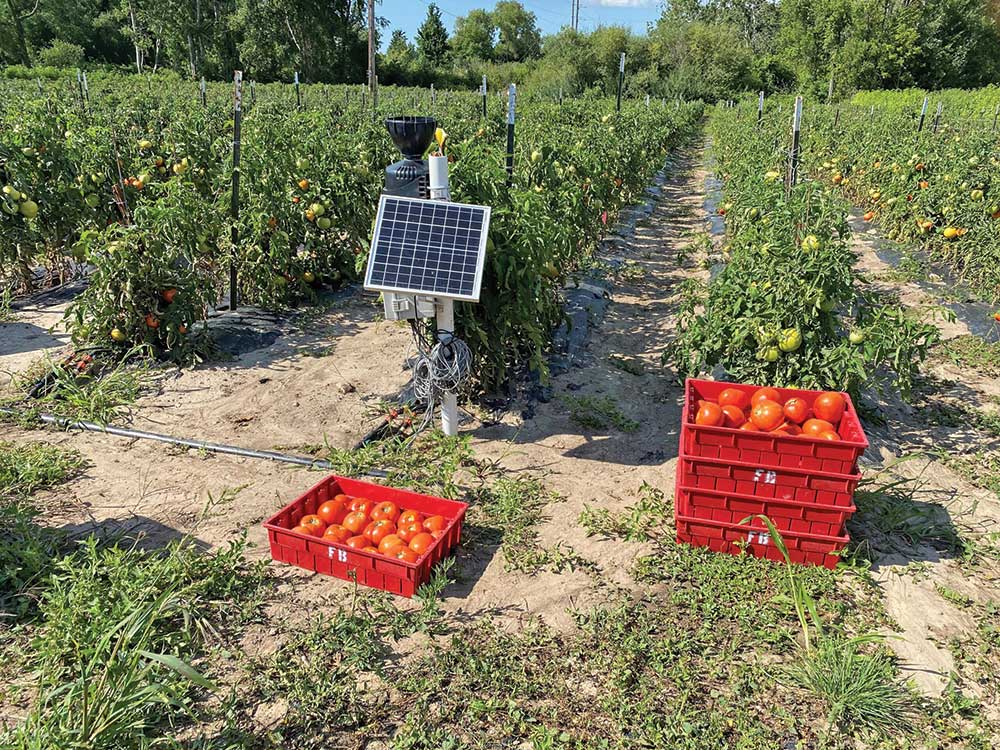 MSU Extension researchers are developing equipment that can improve water flow management to more efficiently irrigate fruit and vegetables.