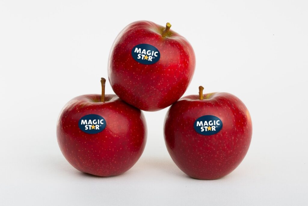 Magic Star apple nears commercial debut in the U.S.