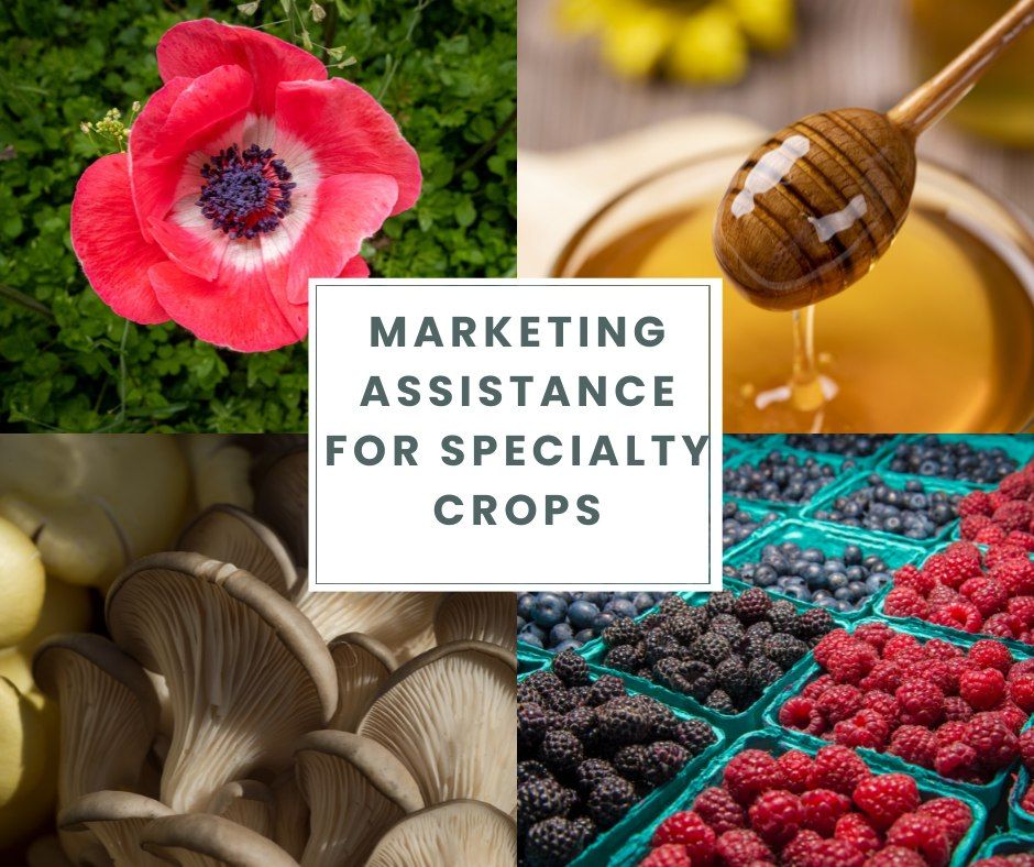 USDA Marketing for Specialty Crops program MASC 