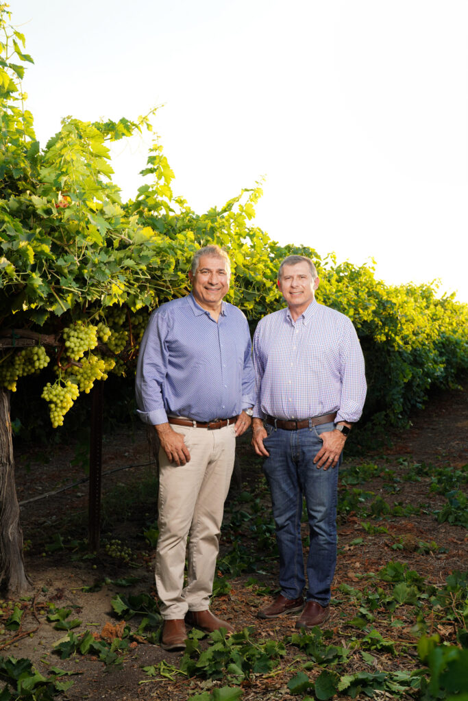 Matoian Brothers master grape cultivation best practices amid labor and pest challenges