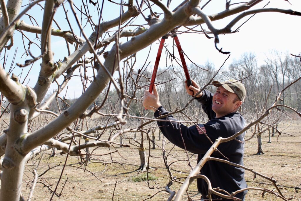 New Jersey peach council elects new directors