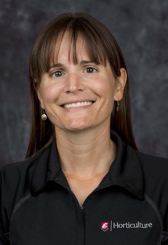 WSU professor Michelle Moyer wins award for distinction in Extension