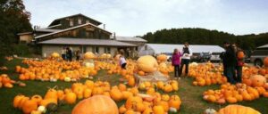 Registration open for MSU Extension’s Agritourism Summit, Tour