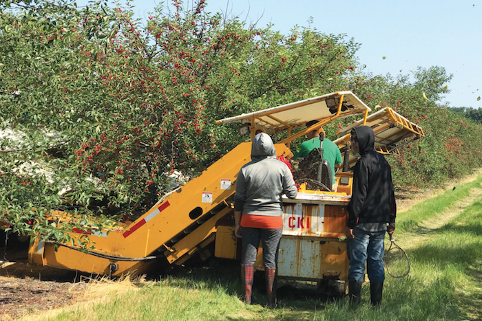 USDA proposes changes to tart cherries assessment rate