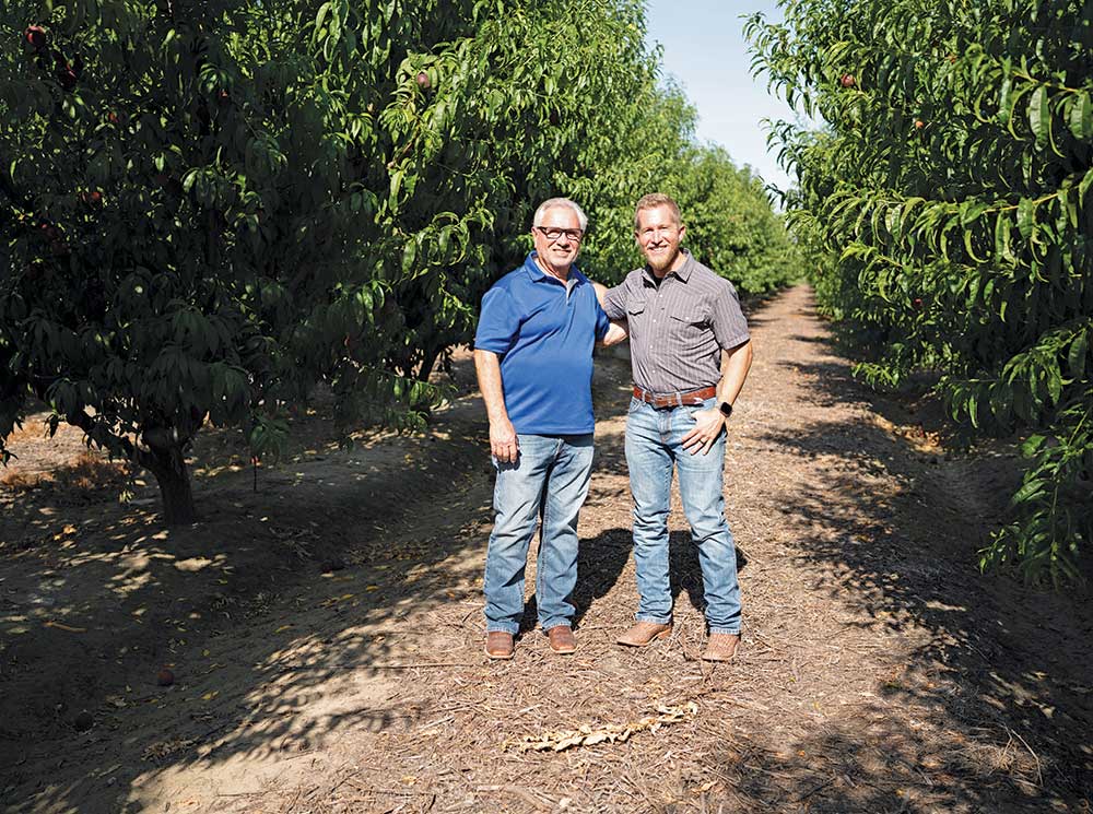 Photo of Mountain View Fruit Sales’ Walt and Josh Lehrman in an orchard.