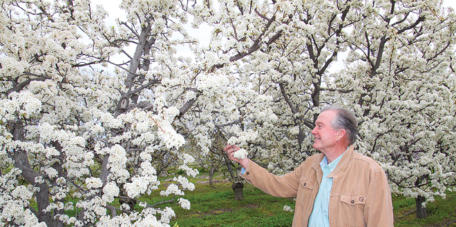 California’s Murray Family Farms endures challenges