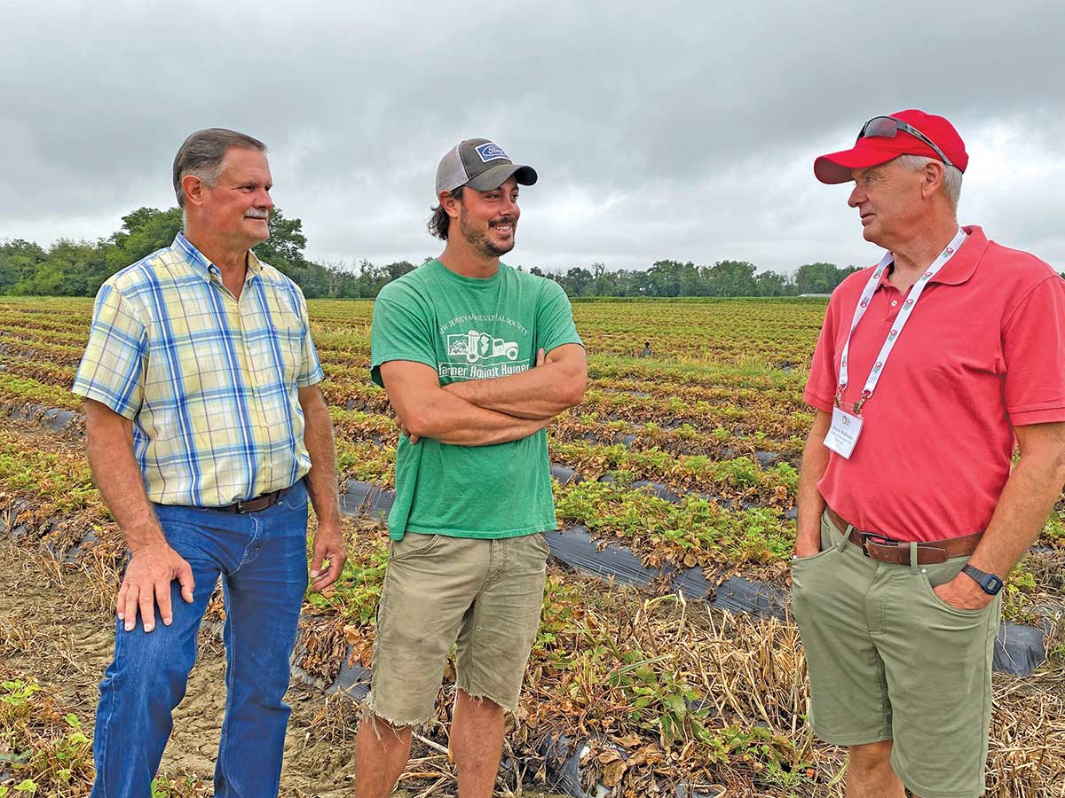 Three white men standing in a field of strawberries, talking with one another