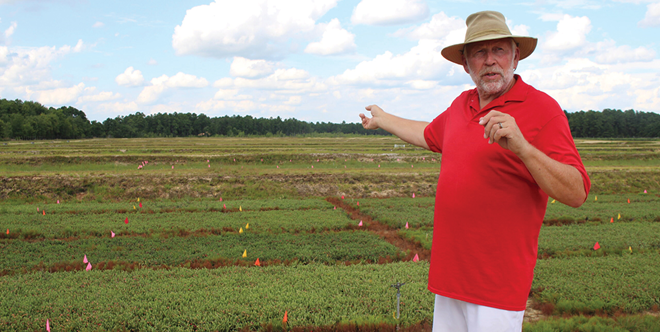 Harvest stars: Berries set the pace in New Jersey