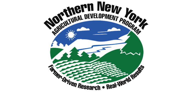 NNYADP ground cherry, goldenberry research: Mixed results