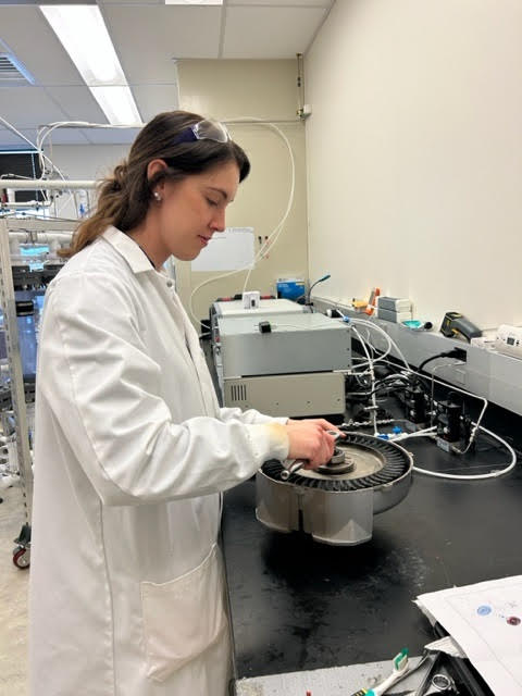 Sustainable and safe: Ionized gas used for food safety