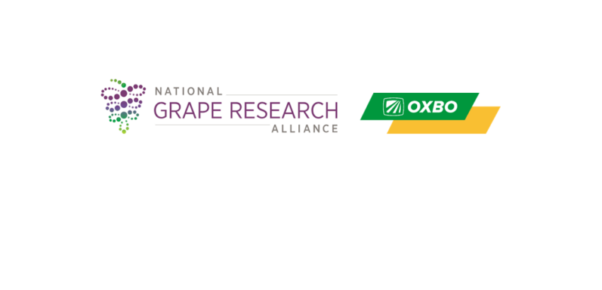 Oxbo joins grape group in equipment manufacturing partnership