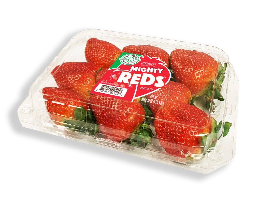 Mighty Reds large strawberries burst into the scene