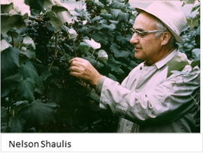 Shaulis Symposium at ASEV-ES focuses on digital viticulture
