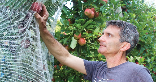 Bug Barriers: Research studies netting effect on BMSB