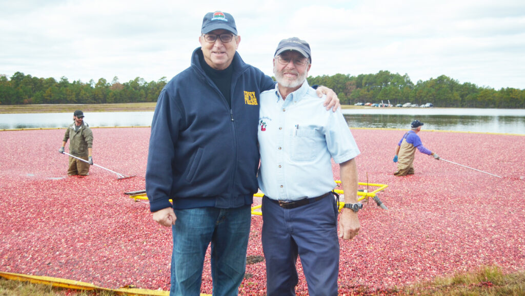 New Jersey Department of Agriculture highlights cranberries