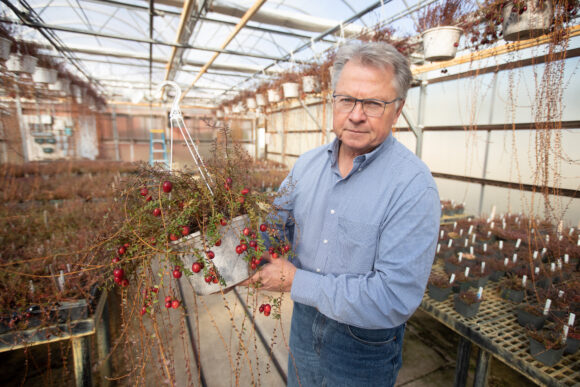 Leadership changes at Philip E. Marucci Center for Blueberry and Cranberry Research and Extension