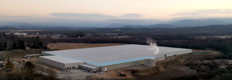 Nourse Farms expands with lab, greenhouses