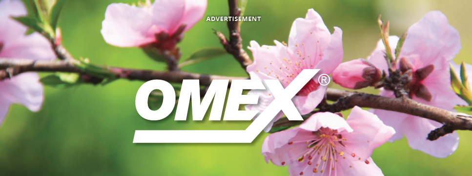 We need to talk about the soil