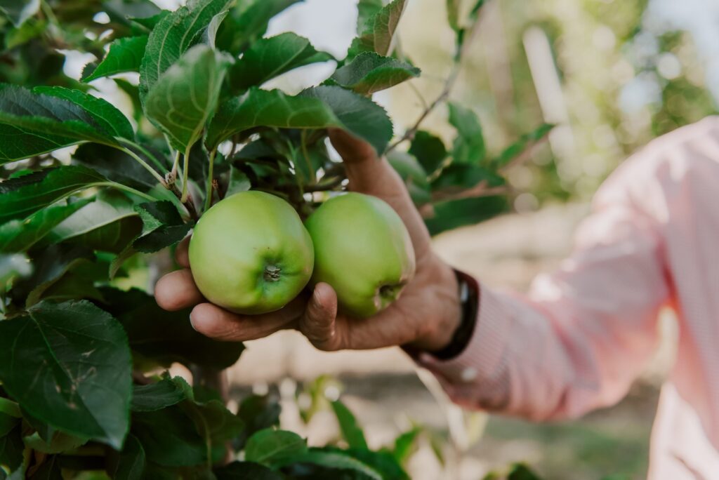 Okanagan Specialty Fruits expands executive team