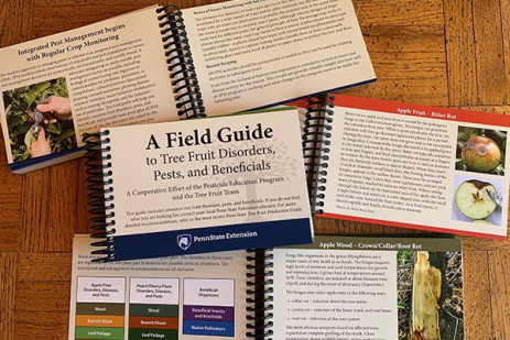 New Orchard Field Guide from the Penn State Extension tree fruit team