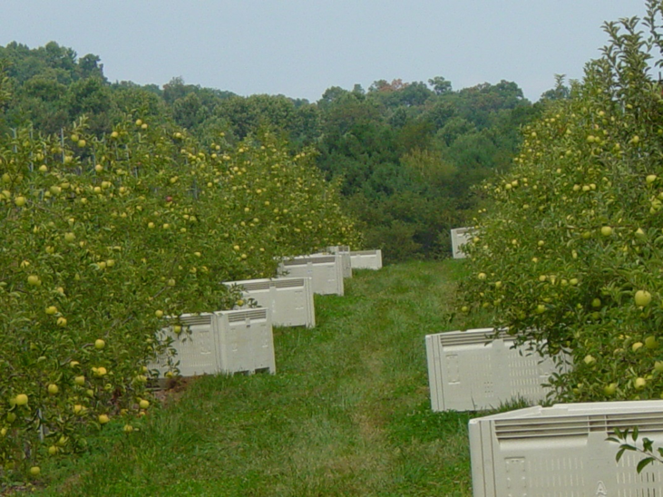 Penn State holding another forum on keeping ag workers safe
