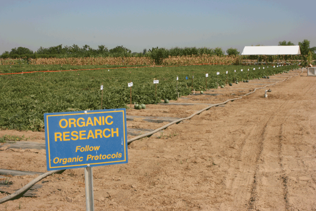 Free weekly organic agriculture seminars set for California growers