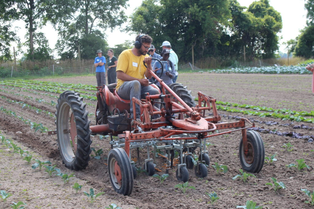Organic Grower: Mechanical advances help target weeds in organic vegetable farm setting