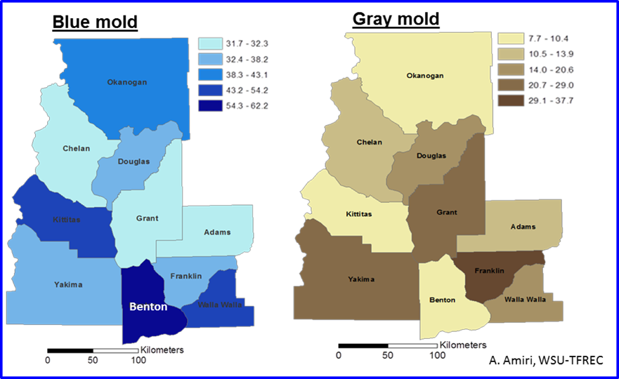 Figure 2. Overall frequency distribution of blue mold and gray mold across 10 counties surveyed in 2016. Deeper colors indicate a higher decay rate.