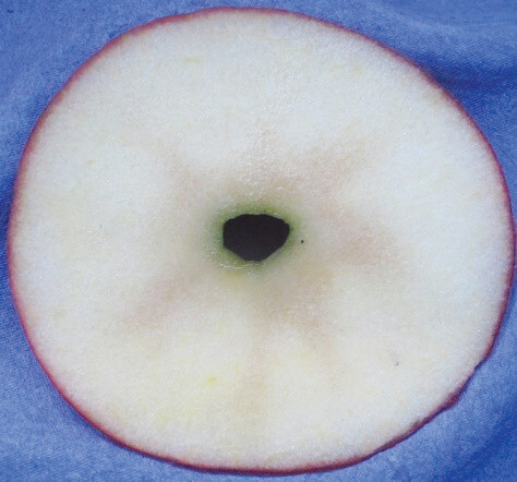 PGR arrival: Plant growth regulators and postharvest apple quality