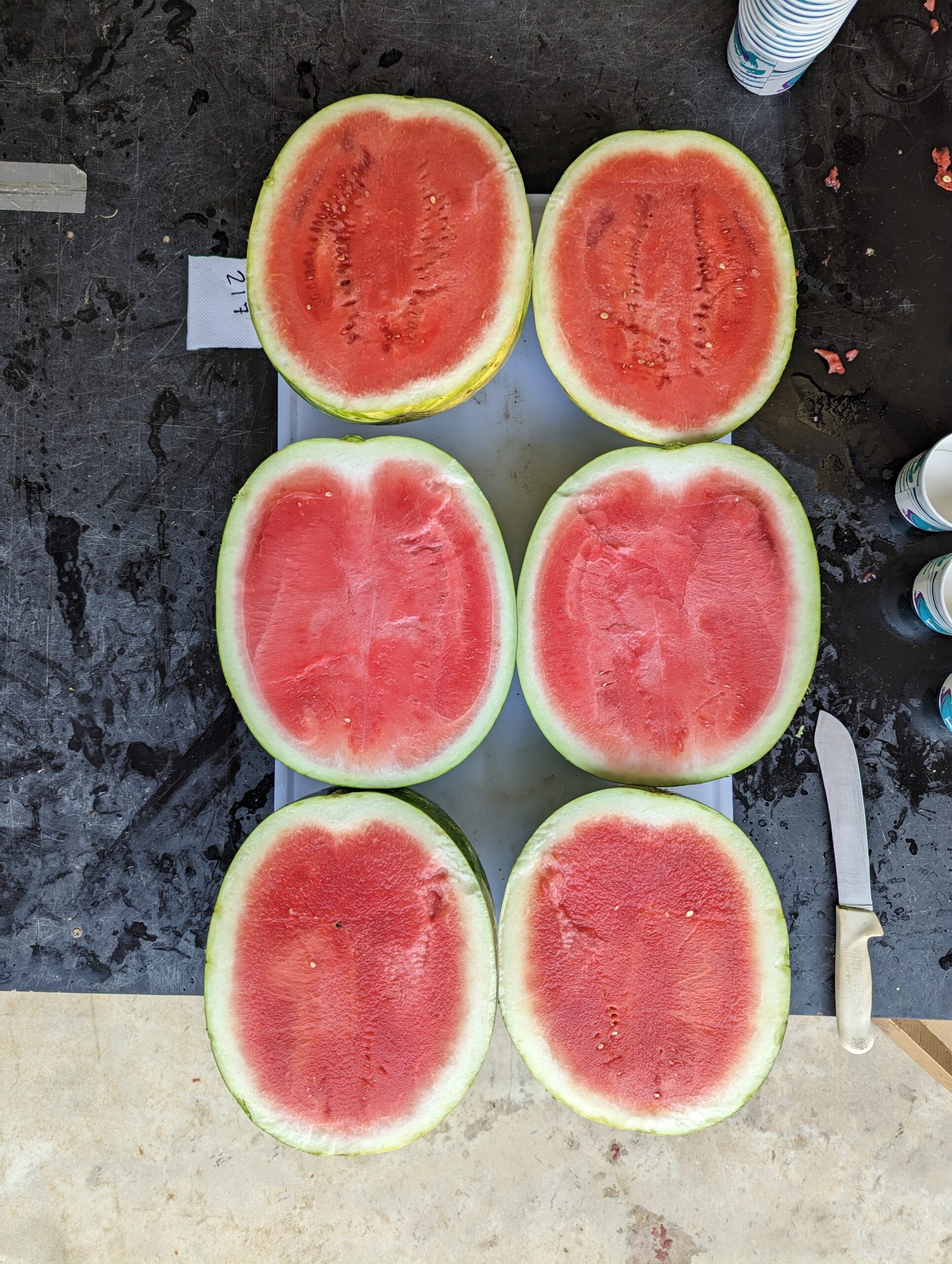 Watermelons sliced in half on table