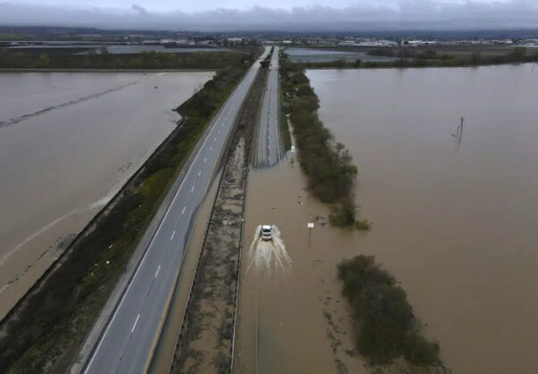 Floods strike northern California strawberry fields