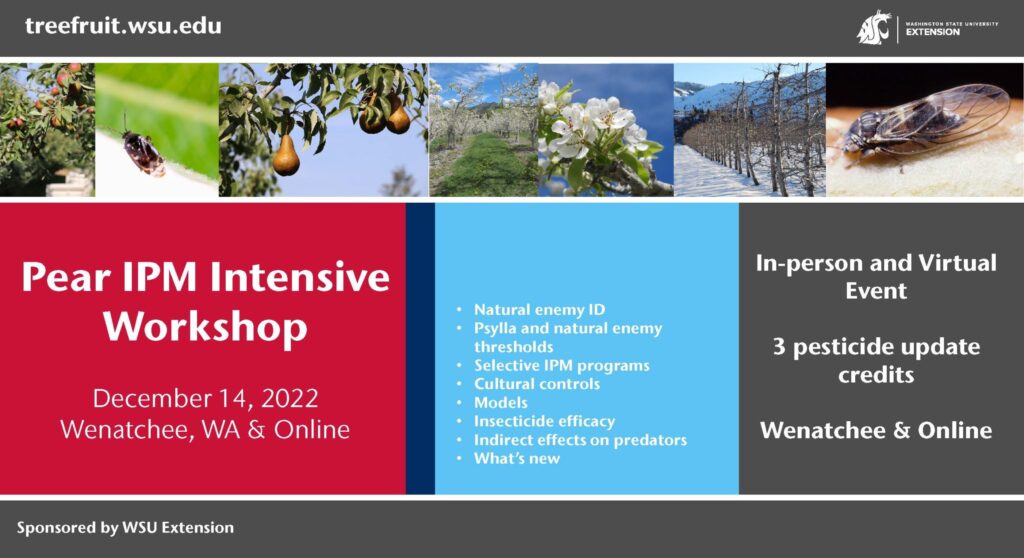 WSU presents pear IPM workshop