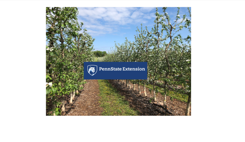 Grant to help Penn State chemical apple blossoms thinning research