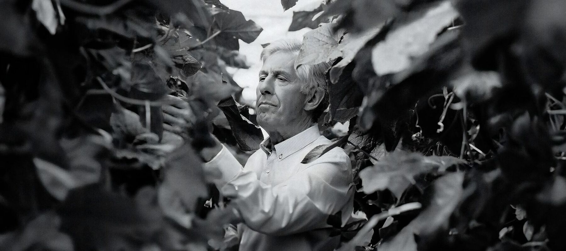 Peter Koppert 