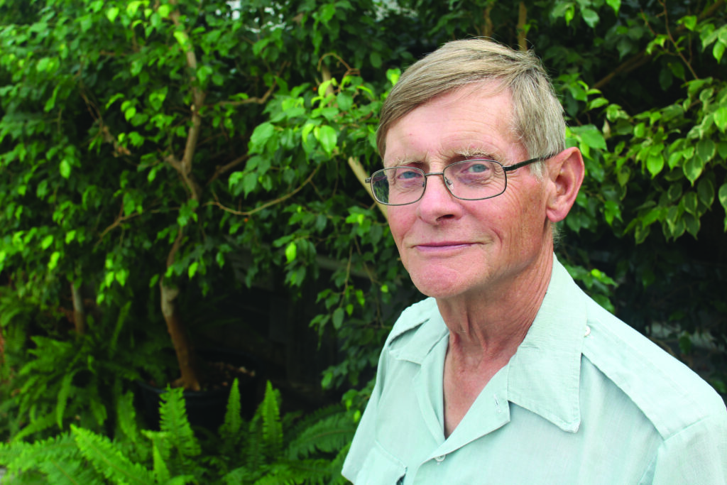 Modes of action, product solubility key in fall weed control