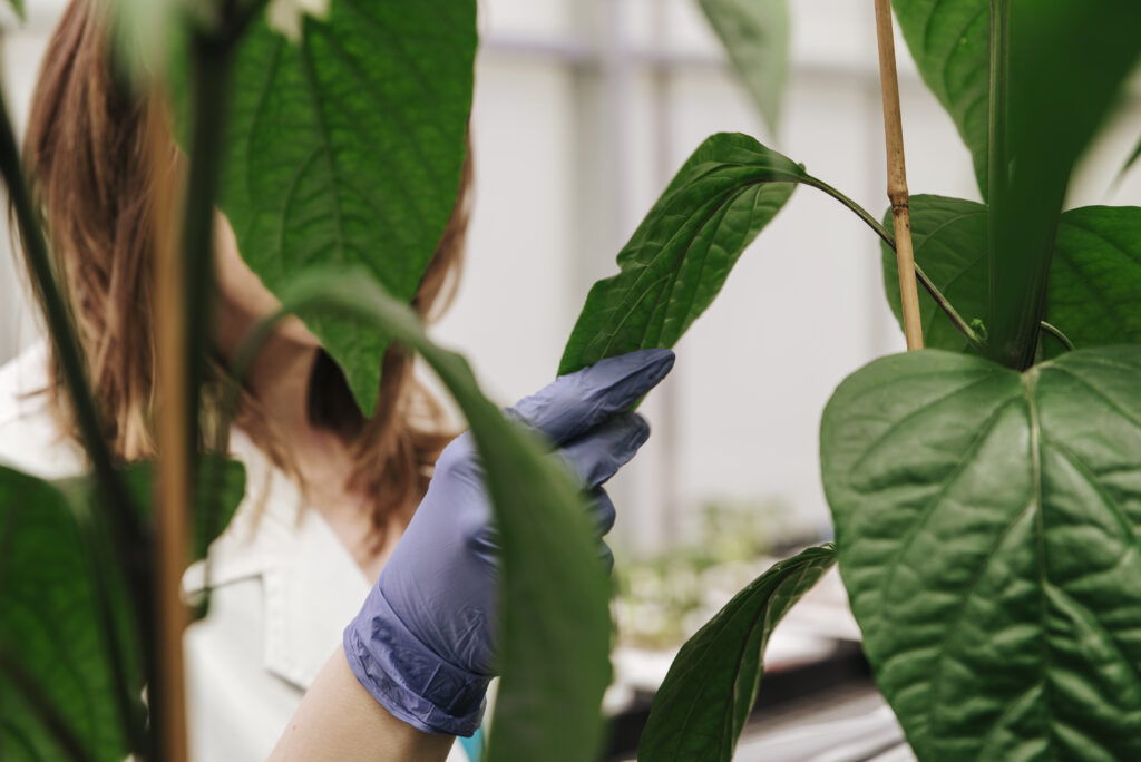 Newly formed Plant Response Biotech to offer biological products