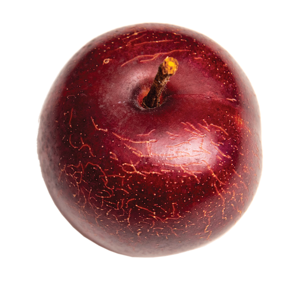 Plum