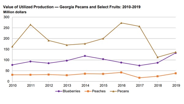 USDA Southern Region data shows Georgia led 2019 blueberry production
