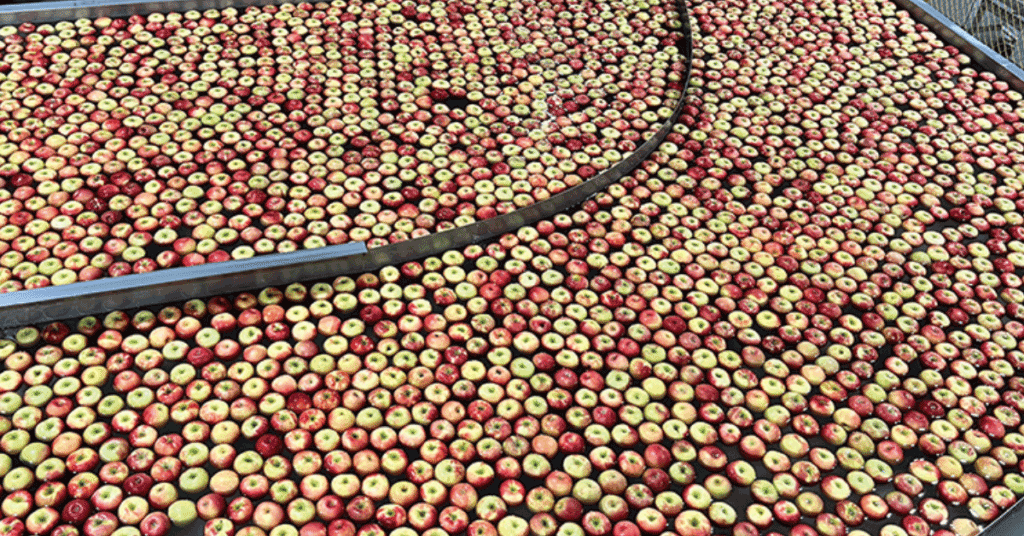 Illinois Extension: Postharvest orchard care is key to next season’s yields