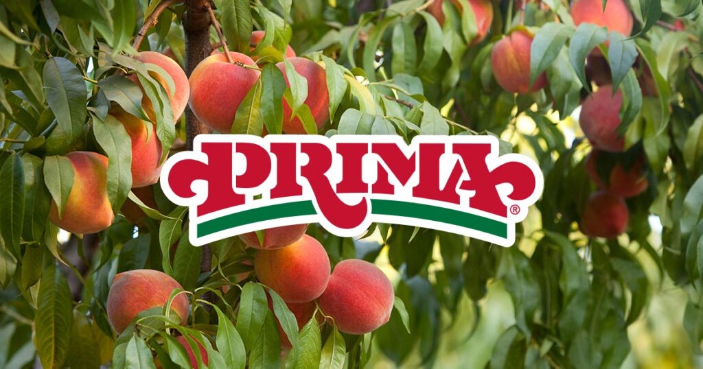 Prima Wawona announces major stone fruit expansion