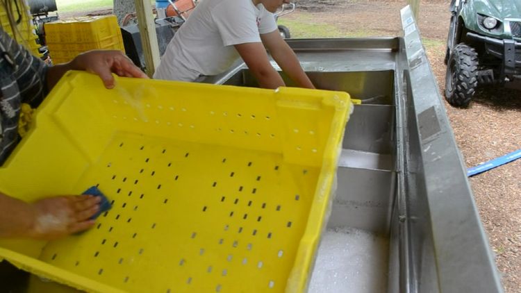 Texting service helps Michigan growers teach workers about produce safety