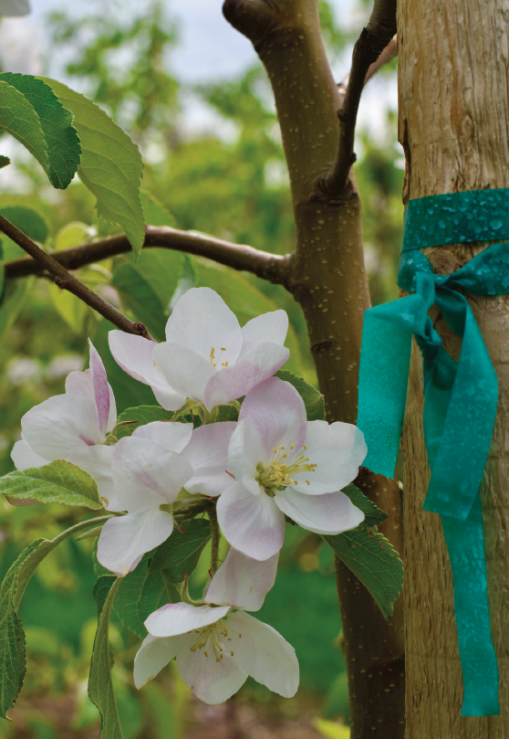 A New Name for a Trusted Product