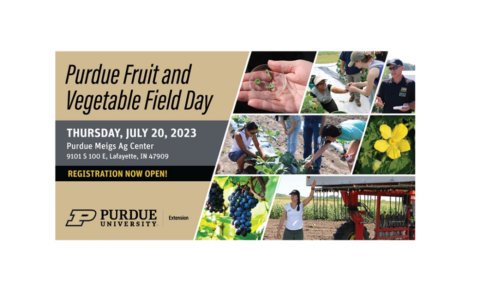Registration open for Purdue Fruit and Vegetable Field Day