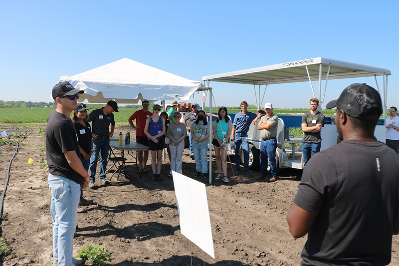 Weed research to be focus of Purdue weed science field day