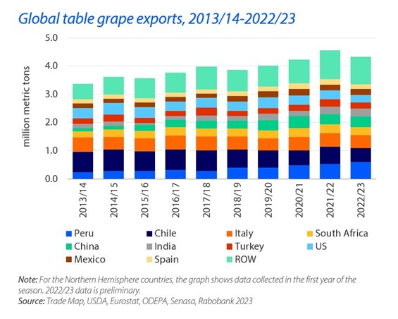 Global table grape exports down, but category remains strong